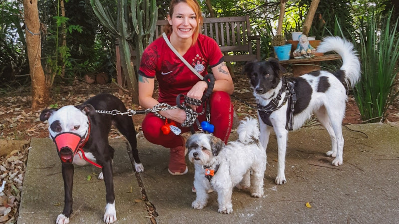 Pet Fellas Dog Walker, Adestramento e Hotel para Cães